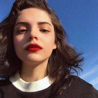 半岛·综合手机app下载