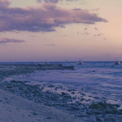 bob手机网页版登录入口截图