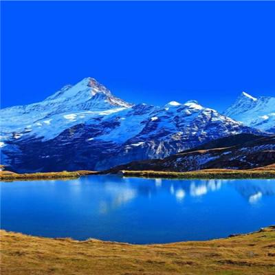 B体育APP官网下载