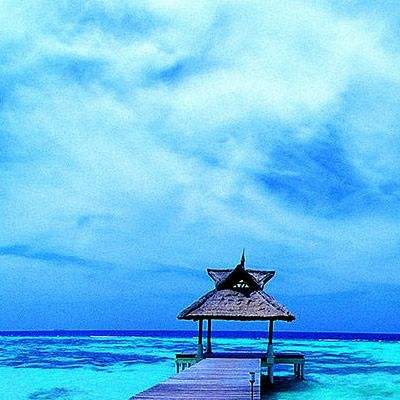 购彩中心welcome官网手机app下载截图