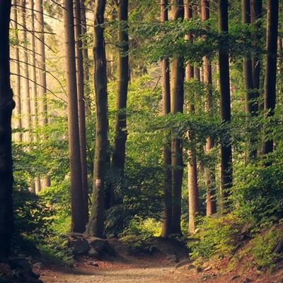 快三彩票app平台官方下载