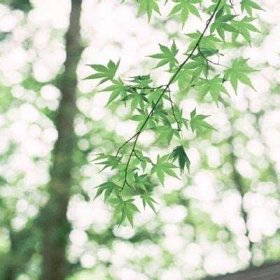 bob手机网页版登录入口截图