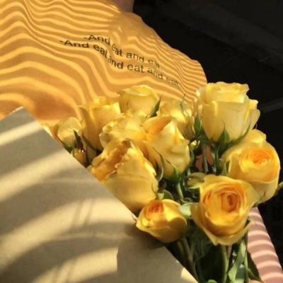 半岛·综合app下载