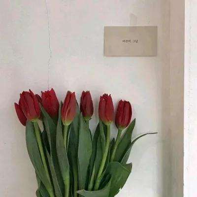 尊龙人生就是博登录